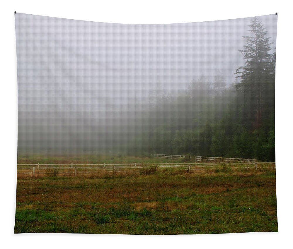 Poulsbo Tapestry featuring the photograph Morning Mist Solitude by Tikvah's Hope