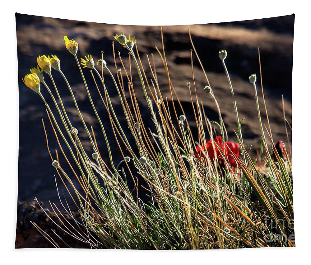 Wildflowers Tapestry featuring the photograph Morning Praise by Jim Garrison