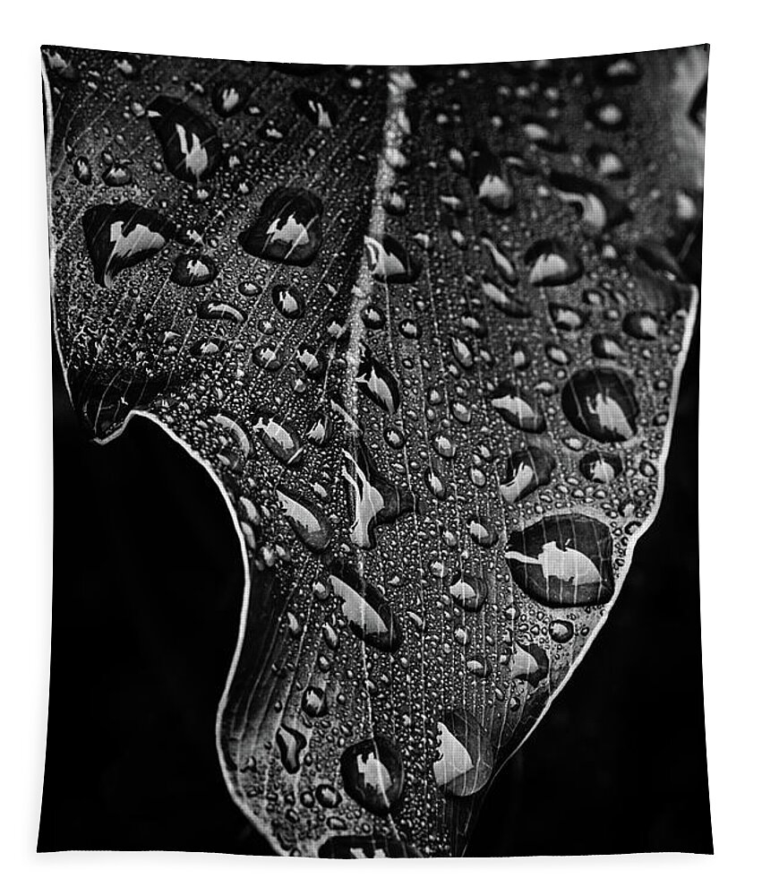 Morning Rain Tapestry featuring the photograph Morning Rain - BW by Scott Pellegrin
