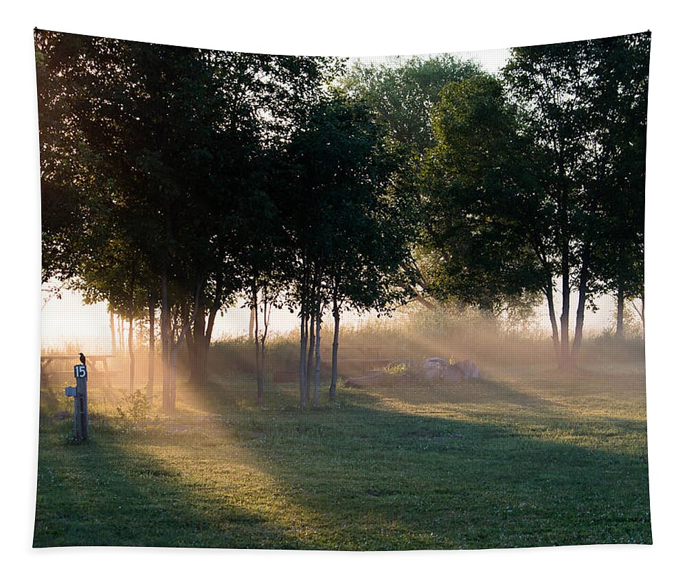 Sunrise Tapestry featuring the photograph Morning Rays by Marc Champagne