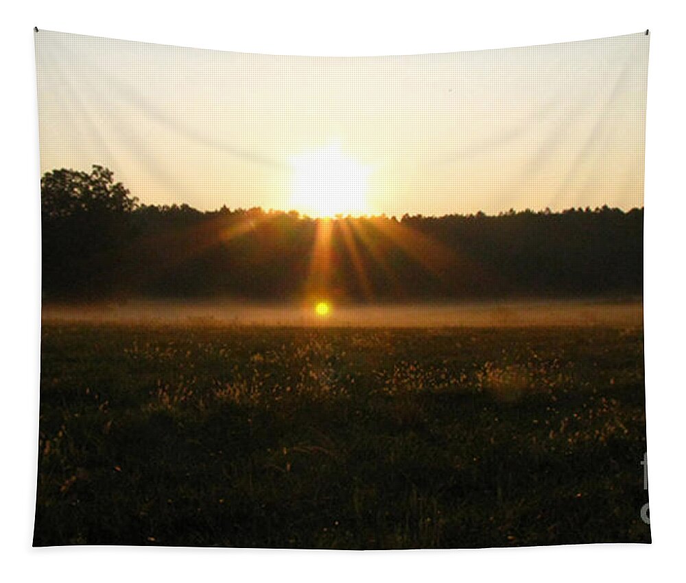 Sun Tapestry featuring the photograph Morning Sun Lite Field by Donna Brown