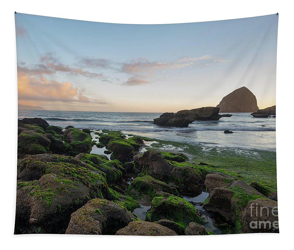 Oregon Coast Tapestry featuring the photograph Mossy rocks at the beach by Paul Quinn