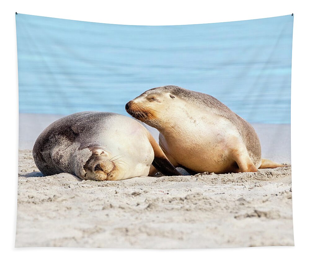 Sea Lion Tapestry featuring the photograph Mother and Pup by Catherine Reading