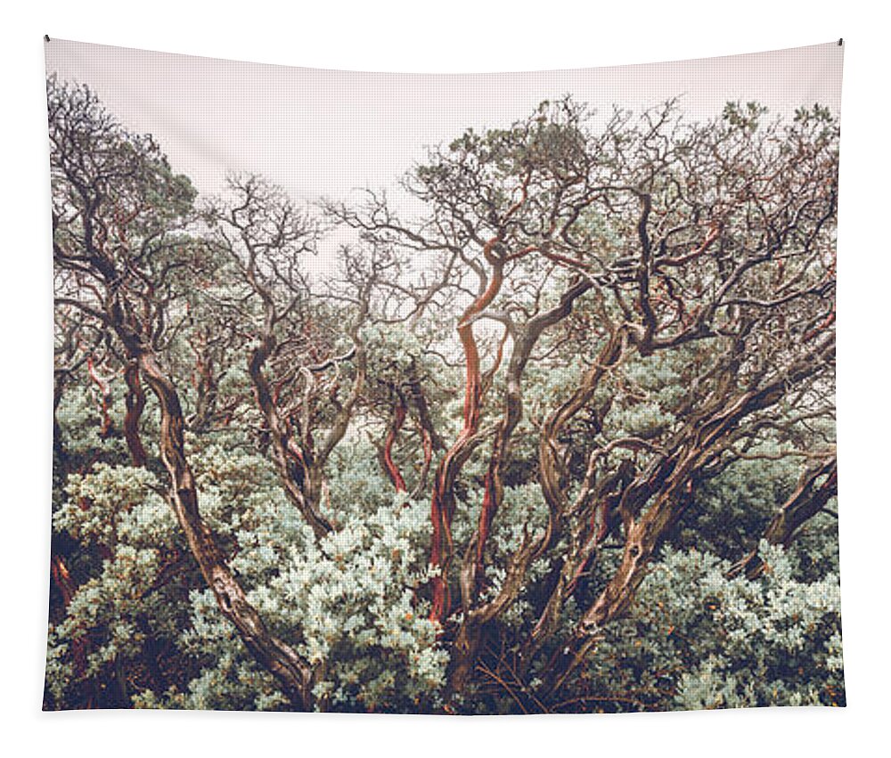 Arctostaphylos Tapestry featuring the photograph Mother Manzanita by Alexander Kunz