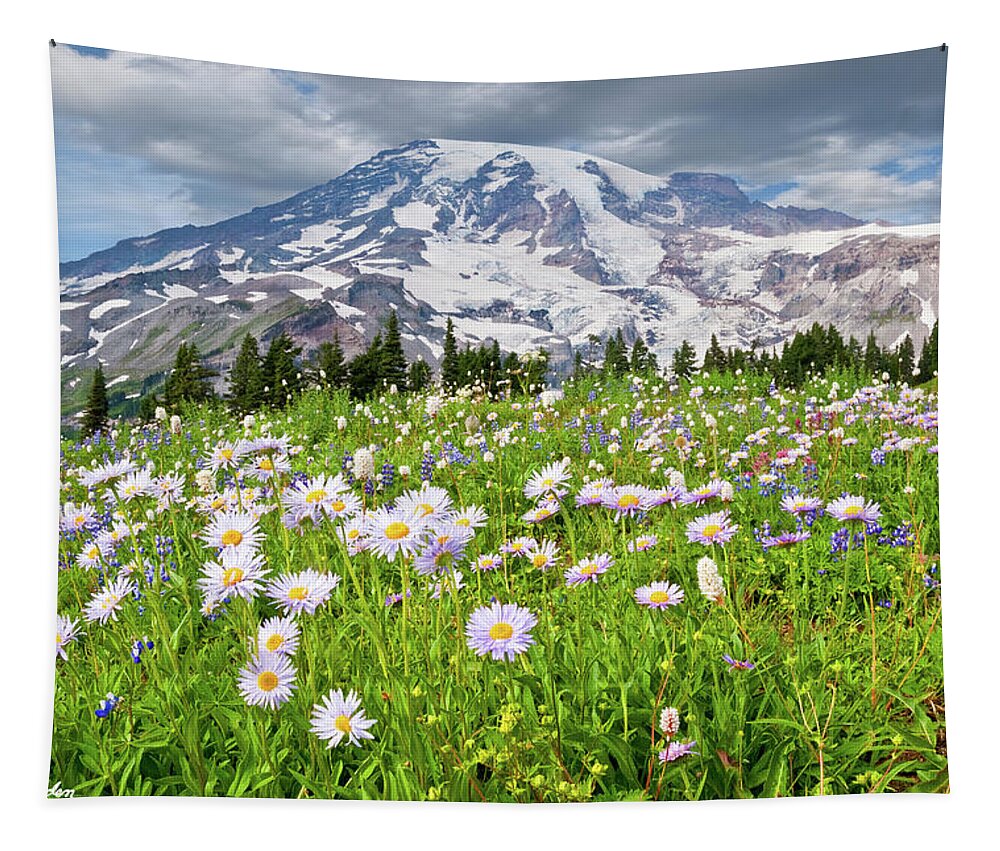 Alpine Tapestry featuring the photograph Mount Rainier and a Meadow of Aster by Jeff Goulden