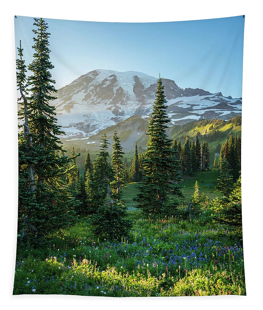 Mount Rainier Tapestry featuring the photograph Mount Rainier Golden Meadows Light and Shadows by Mike Reid