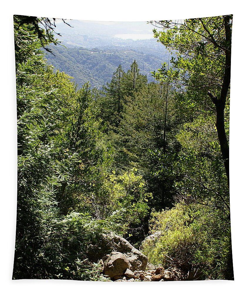 Mount Tamalpais Tapestry featuring the photograph Mount Tamalpais Forest View by Ben Upham III