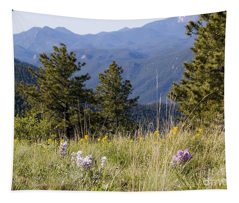 Colorful Tapestry featuring the photograph Mountain Bluebell and Wildflowers in Ute Pass by Steven Krull