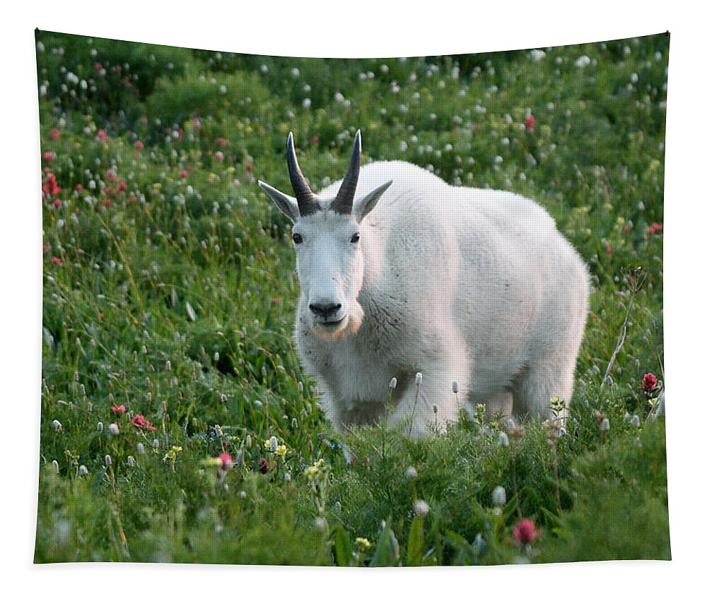 Mountain Goat Tapestry featuring the photograph Mountain Goat and Wildflowers by Brett Pelletier