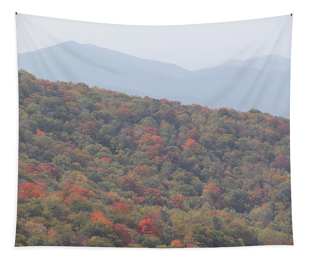 Mountain Range Tapestry featuring the photograph Mountain Range by Allen Nice-Webb