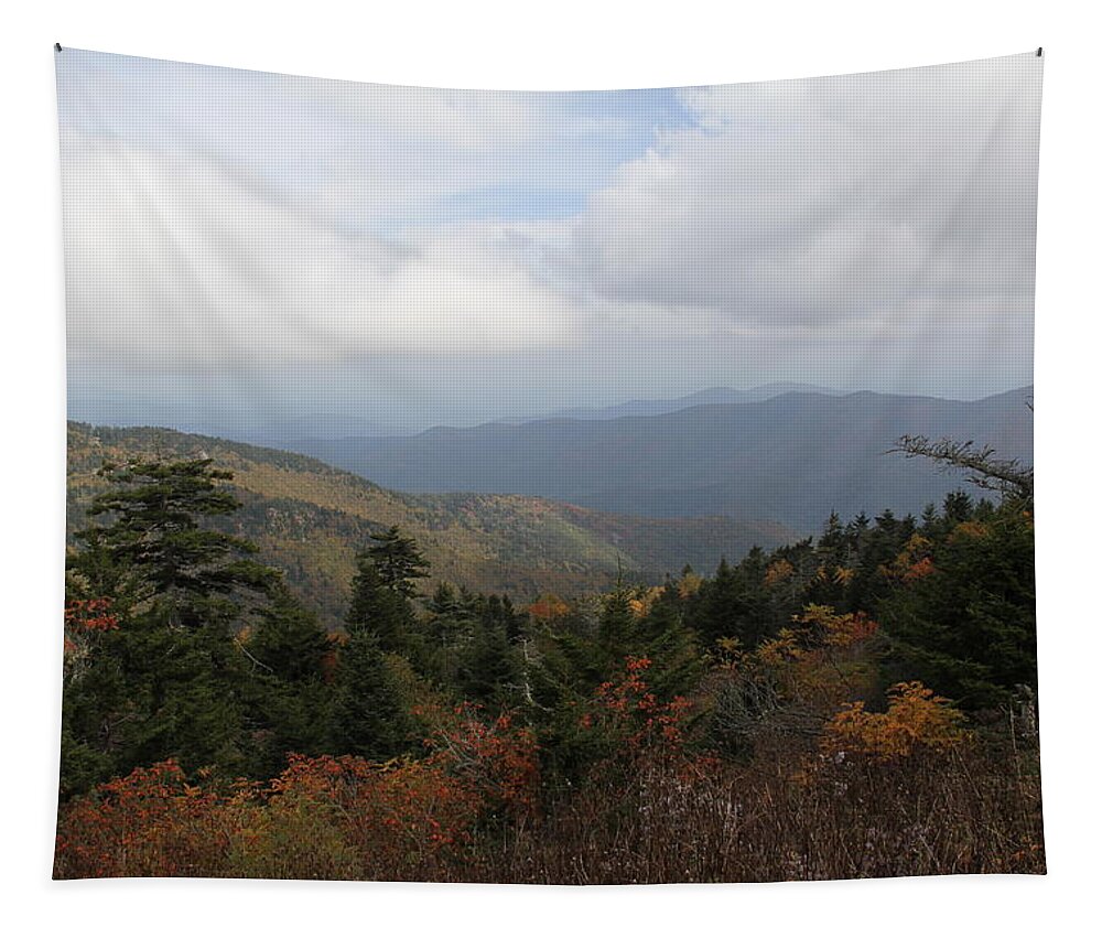 Long Mountain View Tapestry featuring the photograph Mountain Ridge View by Allen Nice-Webb