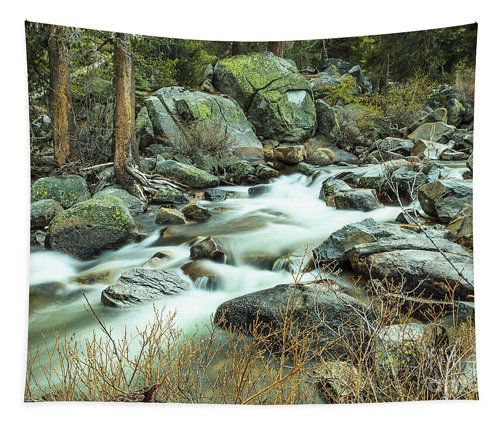 Stream Tapestry featuring the photograph Mountain Stream Yosemite 2 by Ben Graham