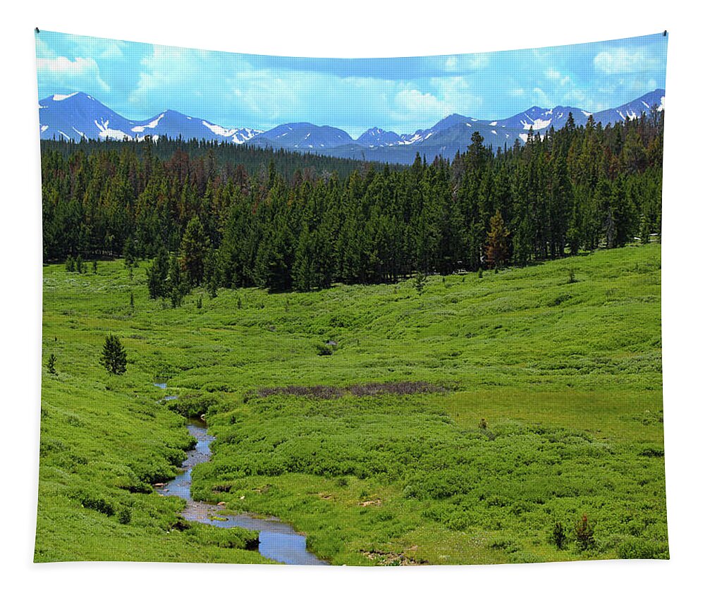 Mountains Tapestry featuring the photograph Mountain Valley by Shane Bechler