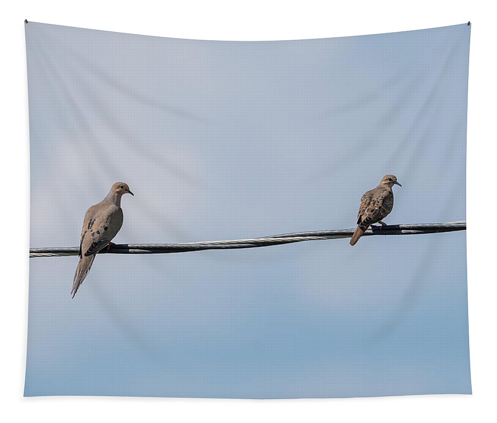 Mourning Doves Tapestry featuring the photograph Mourning Doves by Holden The Moment