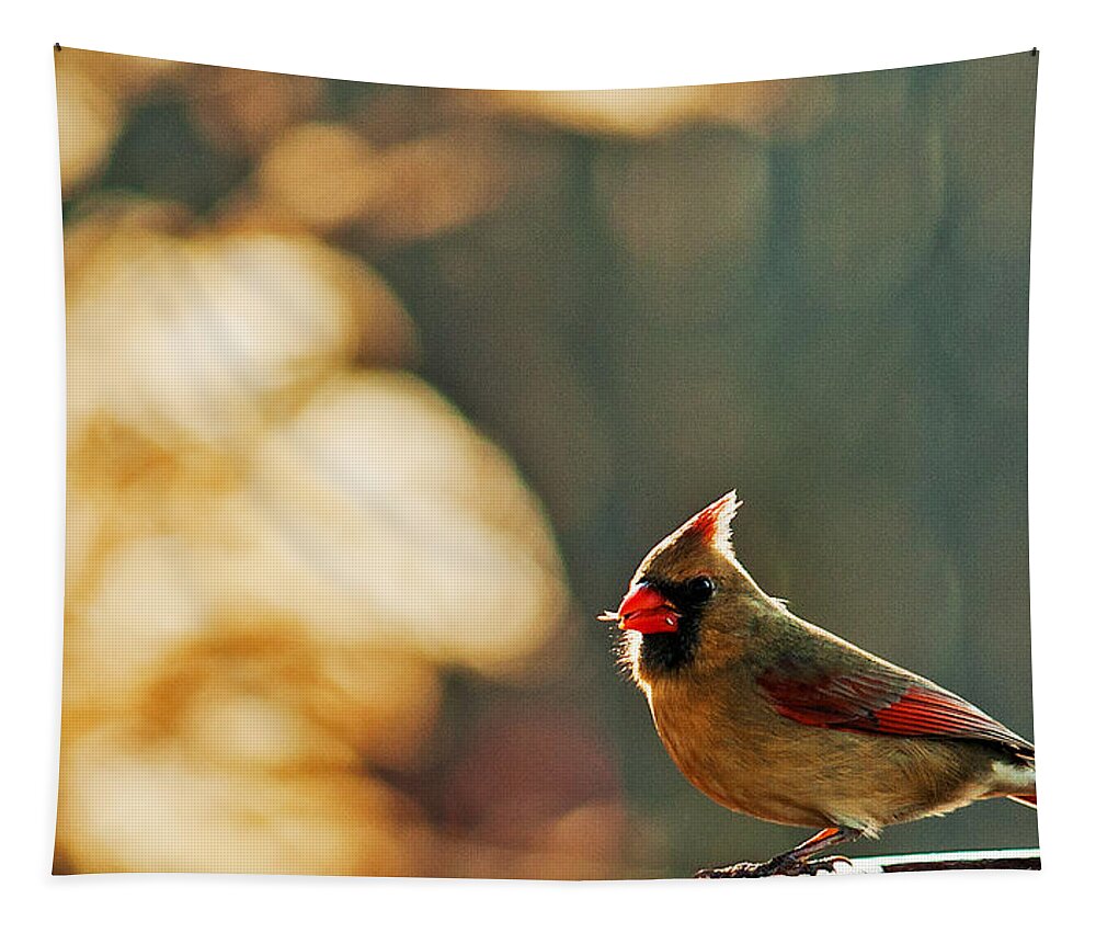 Northern Cardinal Tapestry featuring the photograph Mouthful by Ed Peterson