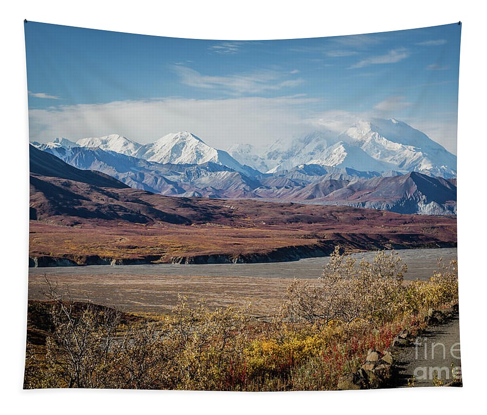 Mt Denali Tapestry featuring the photograph Mt Denali View from Eielson Visitor Center by Eva Lechner