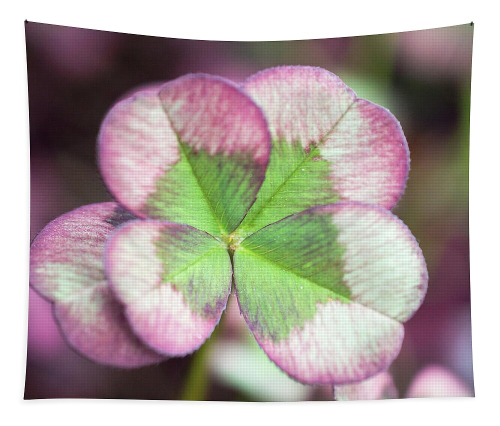 Clover Tapestry featuring the photograph Mulberry Clover by Lisa Blake