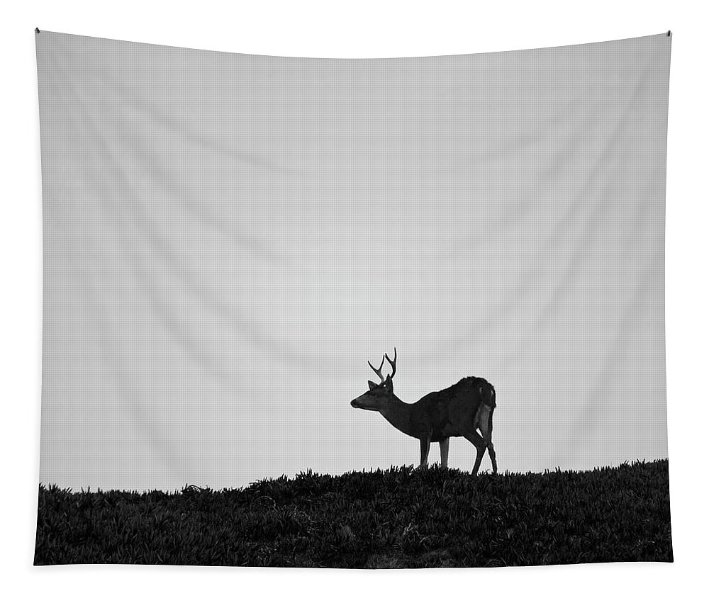 Mule Tapestry featuring the photograph Mule Deer I BW SQ by David Gordon