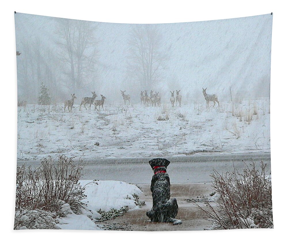 Deer Tapestry featuring the photograph Murphy Watches The Deer by Eric Tressler