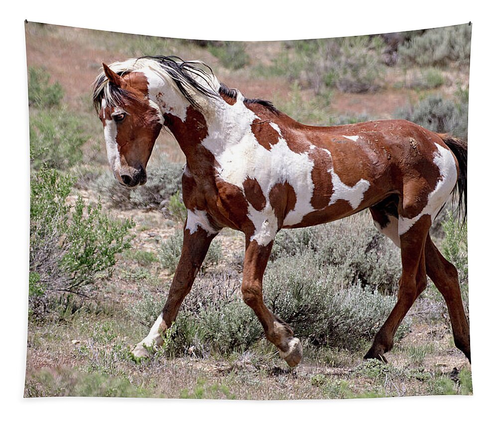 Pinto Tapestry featuring the photograph Mustang Power by Mindy Musick King