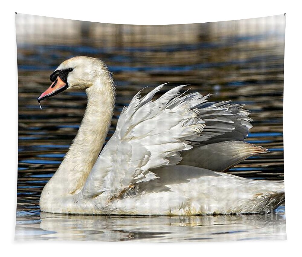 Swan Tapestry featuring the photograph Mute Swan by Kathy Baccari