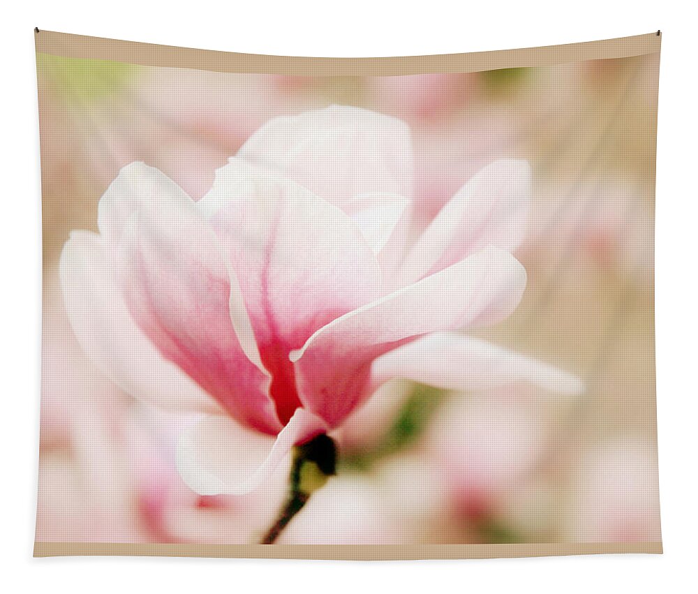 Magnolia Tapestry featuring the photograph Muted Magnolia by Jessica Jenney