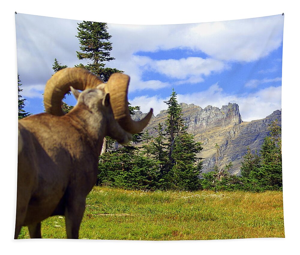 Glacier National Park Tapestry featuring the photograph My Kingdom by Marty Koch