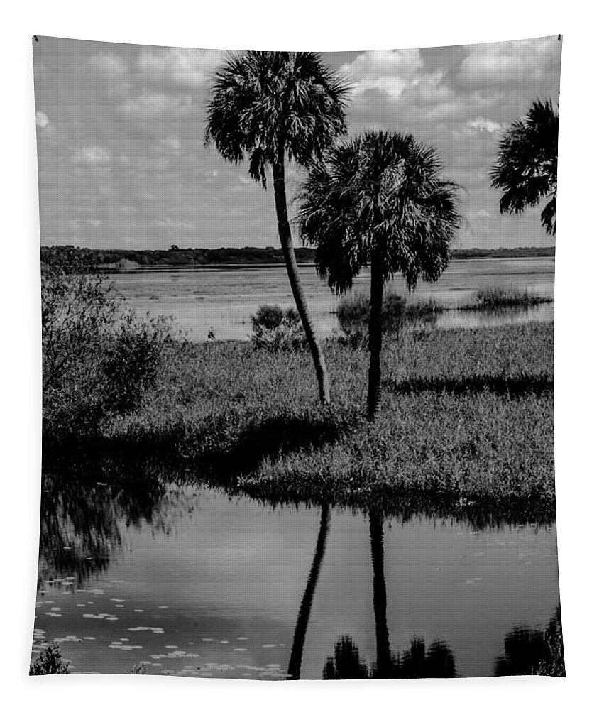  Tapestry featuring the photograph Myakka River Reflections by Susan Molnar