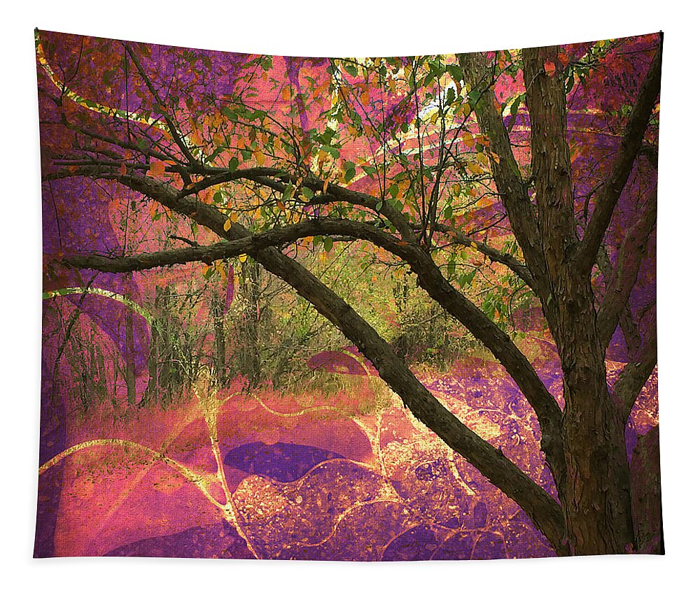 Trees Tapestry featuring the photograph Mystic Forest by Peggy Dietz