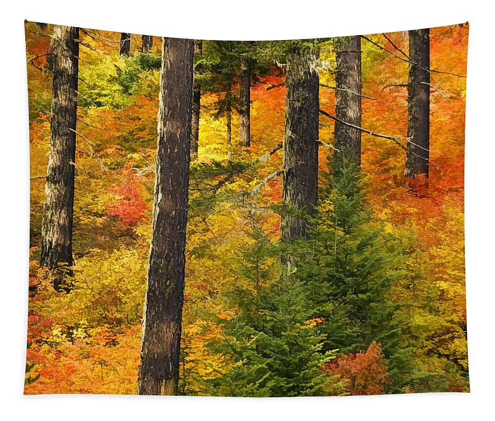 Nw Autumn Tapestry featuring the photograph N W Autumn by Wes and Dotty Weber