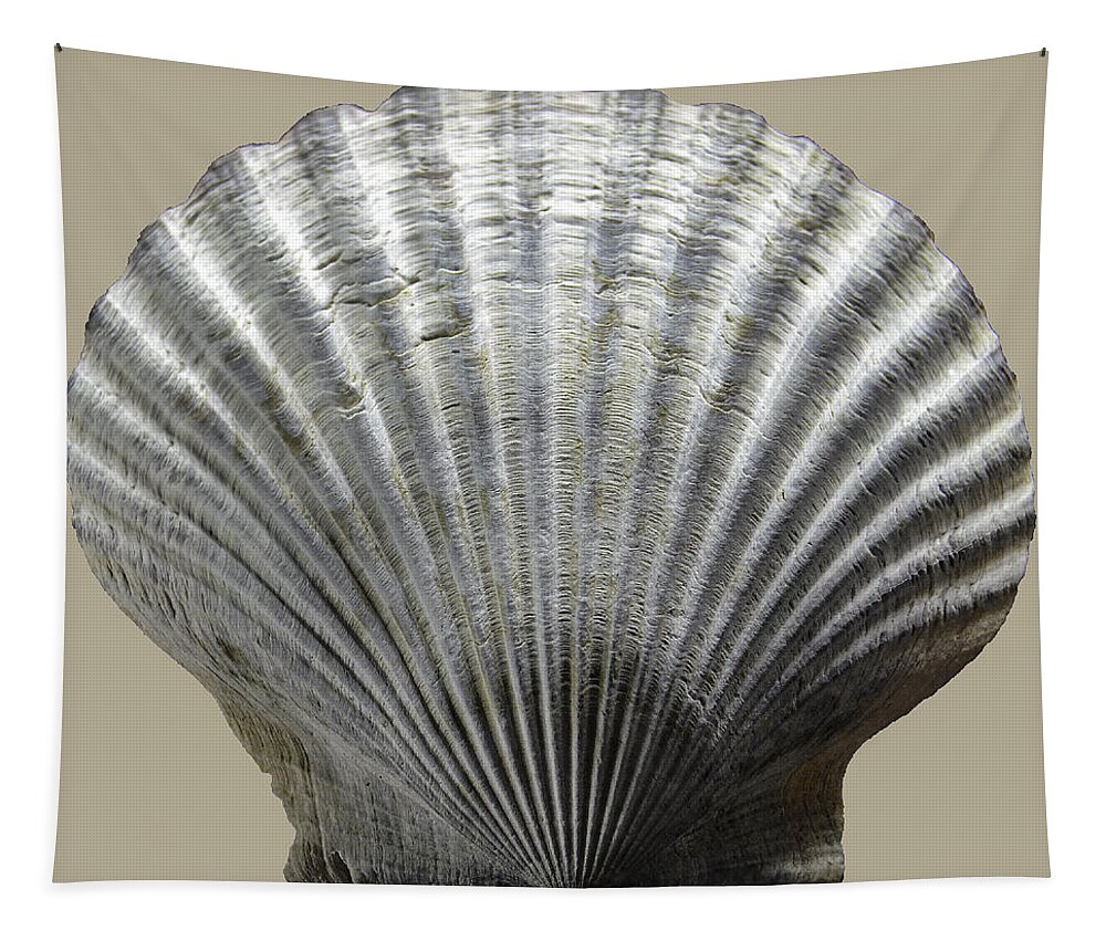 Sea Tapestry featuring the photograph Natural Shell by WAZgriffin Digital