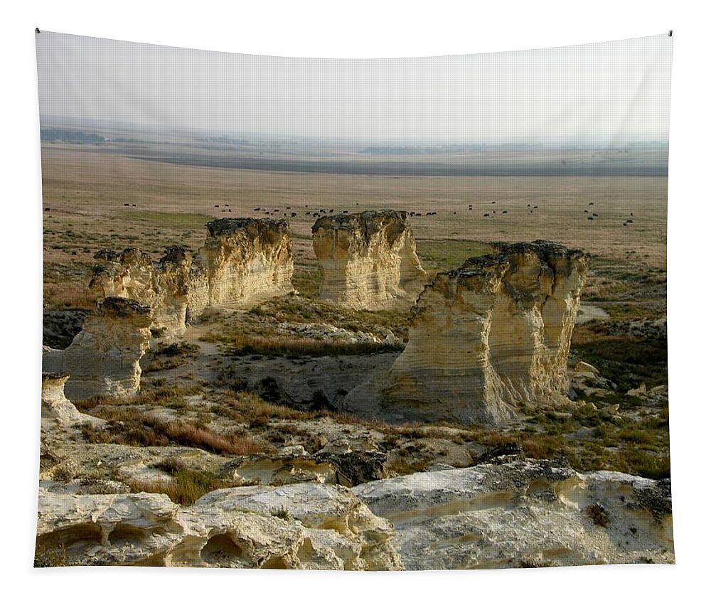 Kansas Tapestry featuring the photograph Natural Stonehenge by Keith Stokes