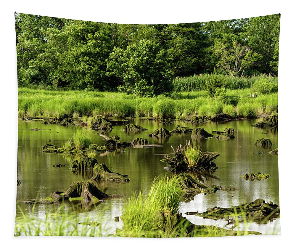 Grass Tapestry featuring the photograph Nature preserve swamp by Sam Rino