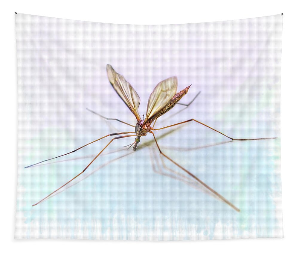 Crane Fly Tapestry featuring the digital art Nature's Art by Jennie Breeze