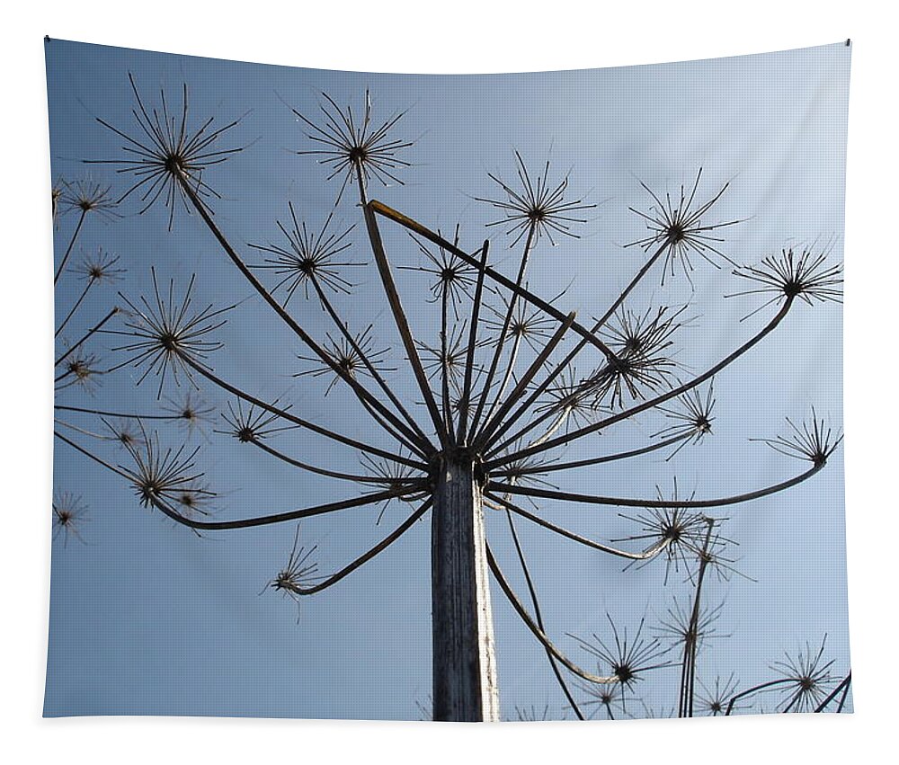 Nature Tapestry featuring the photograph Natures carnival by Susan Baker