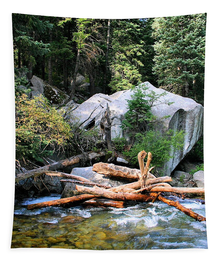River Tapestry featuring the photograph Nature's Filters by Kristin Elmquist
