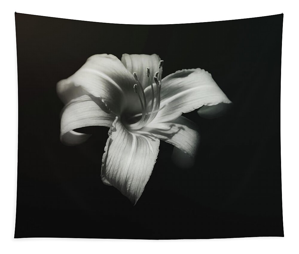 Lily Tapestry featuring the photograph Natures Fireworks by Scott Norris