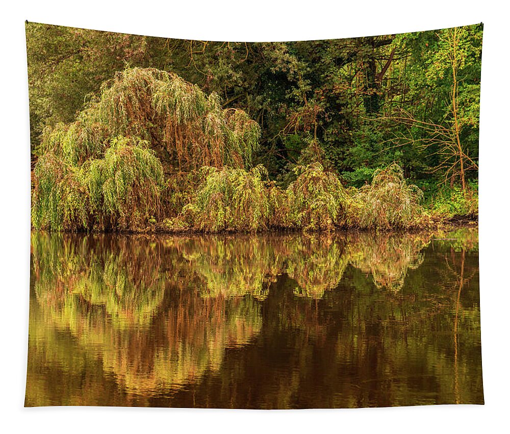 Autumn Tapestry featuring the photograph Nature's Mirror by Wim Lanclus