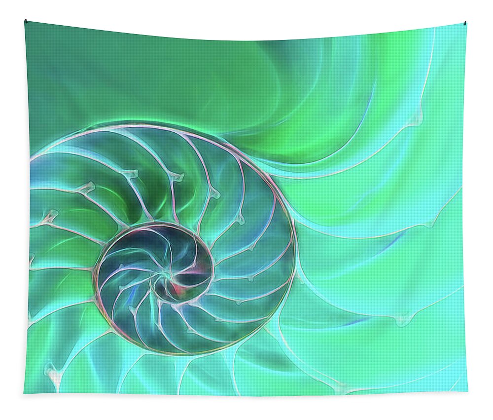 Sea Shell Tapestry featuring the photograph Nautilus Aqua Spiral by Gill Billington