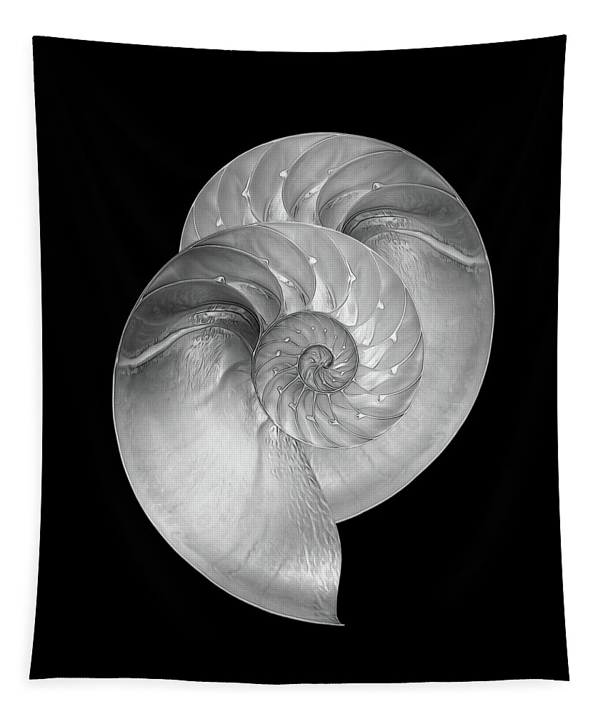 Black And White Seashell Tapestry featuring the photograph Nautilus Pair in Mono by Gill Billington