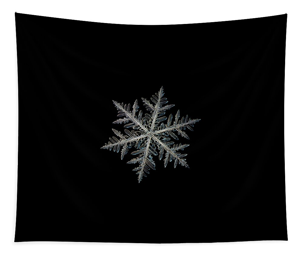 Snowflake Tapestry featuring the photograph Neon, black version by Alexey Kljatov