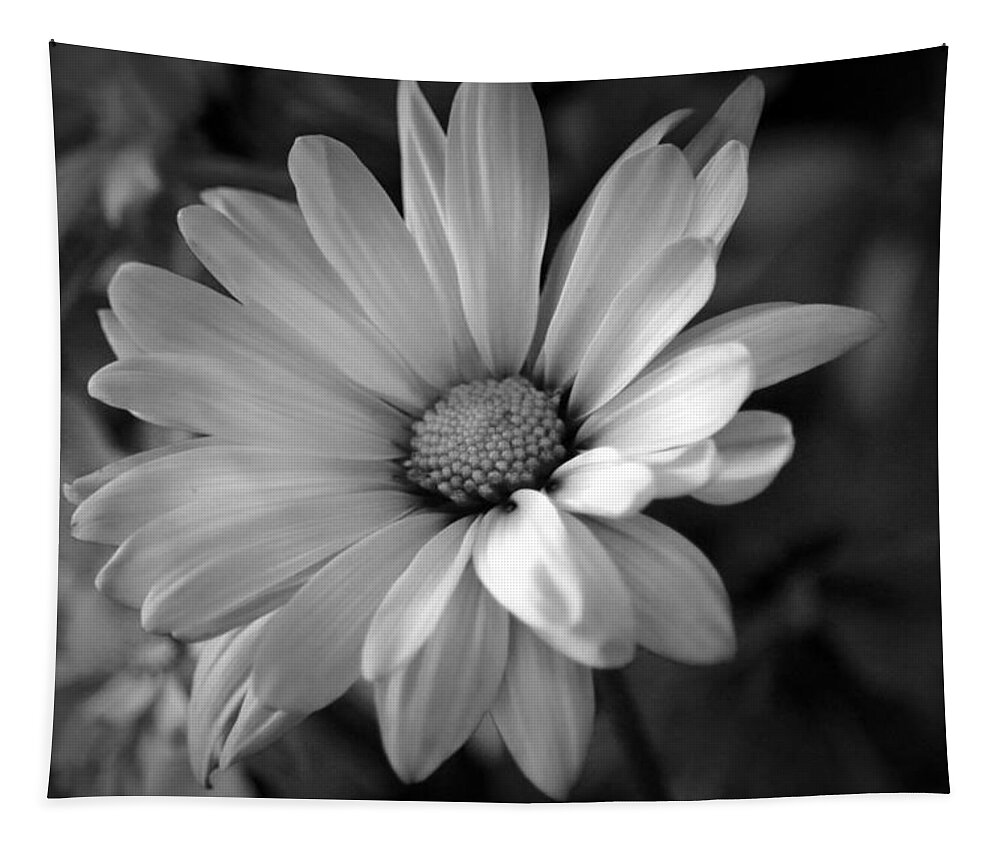Daisy Tapestry featuring the photograph Neon Petals by Linda James