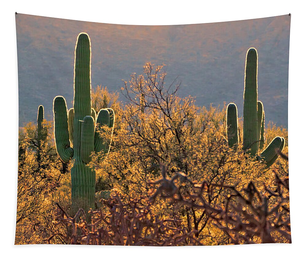 Saguaro National Park Tapestry featuring the photograph Neon Saguaro by Susan Rissi Tregoning