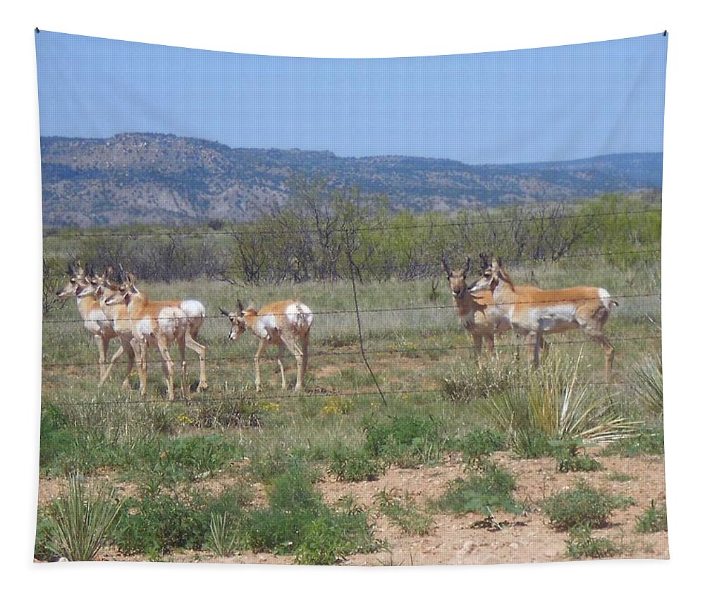 Antelope Tapestry featuring the photograph New Mexico Antelope 1 by Sheri Keith