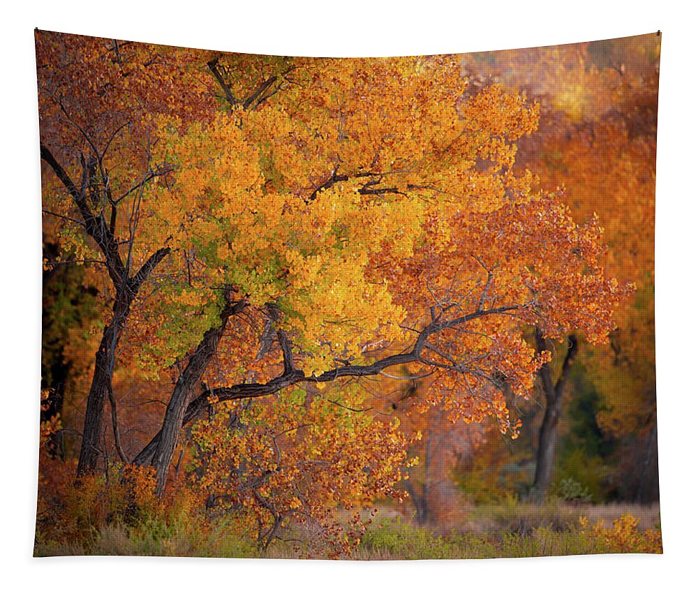 Cottonwood Tree Tapestry featuring the photograph New Mexico Gold by Jeff Phillippi