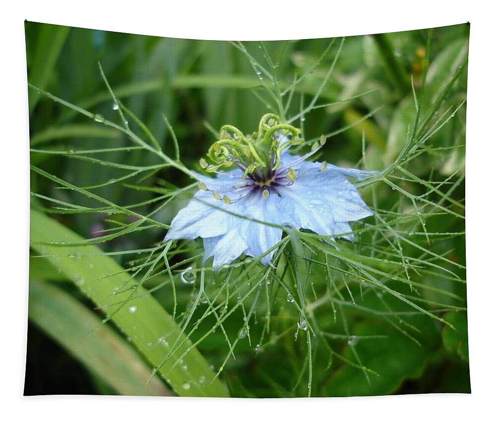 Flower Tapestry featuring the photograph Nigella in spring rain by Susan Baker