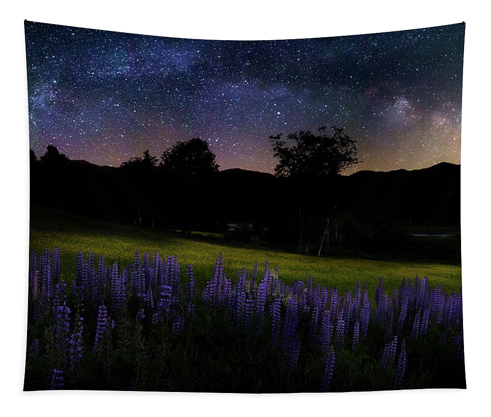 Milky Way Tapestry featuring the photograph Night Flowers by Bill Wakeley