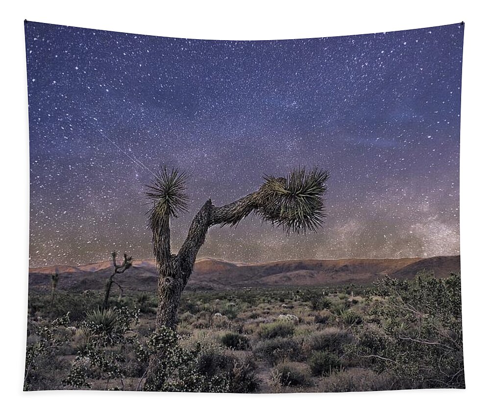 Night Sky Tapestry featuring the photograph Night Sky by Alison Frank