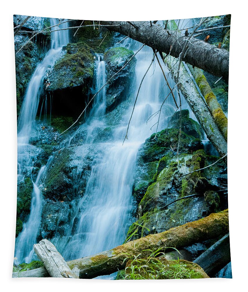Nine Mile Falls Tapestry featuring the photograph Nine Mile Falls by Troy Stapek