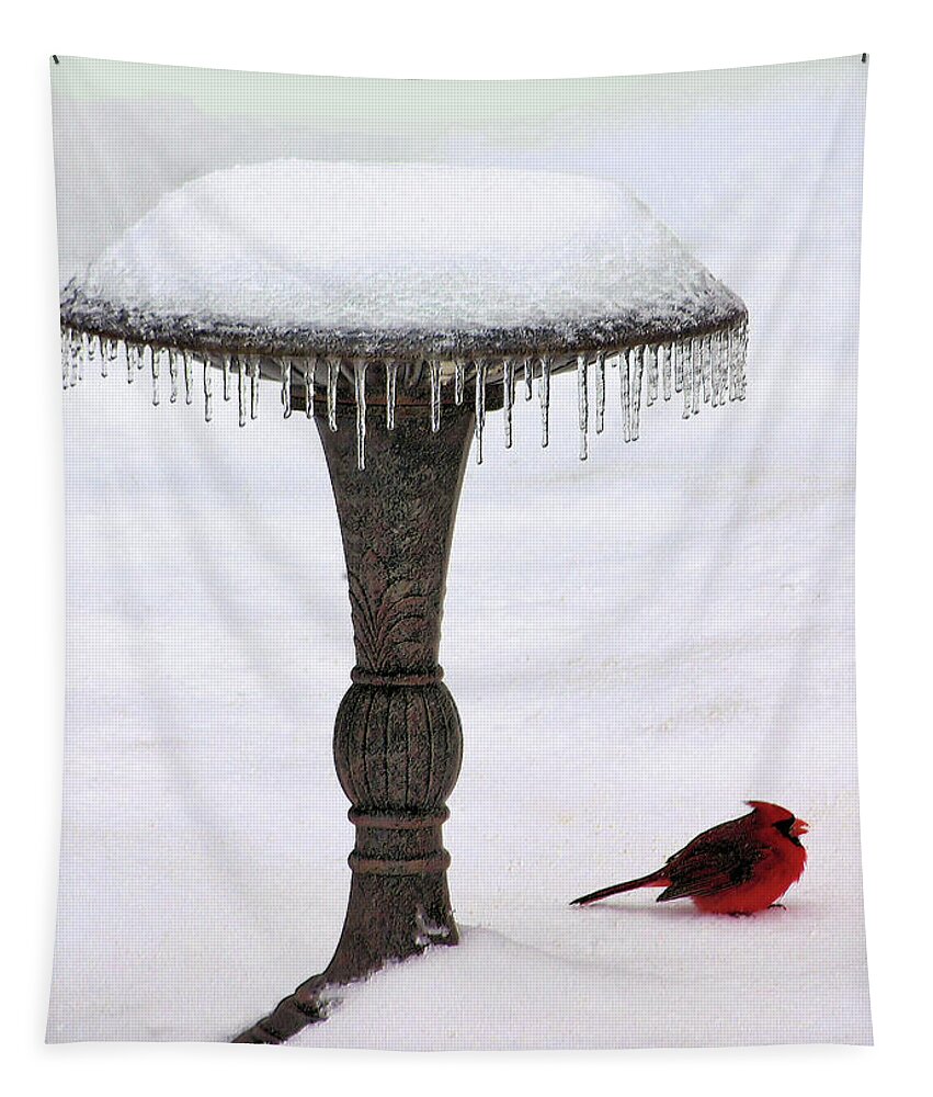 Snow Tapestry featuring the photograph No Bath Today by Kristin Elmquist